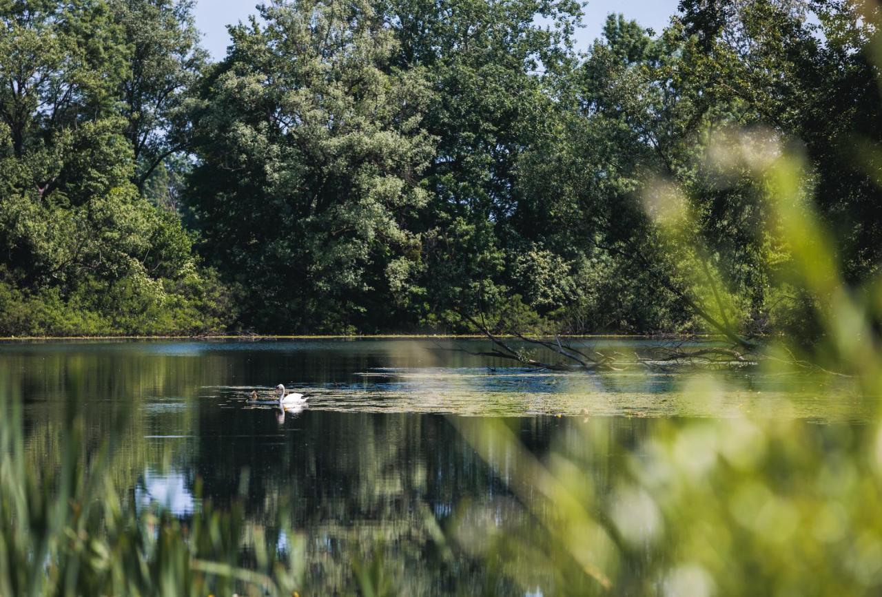 Rajski Vrt - Lake House - Paradise Garden Sisak Exterior foto